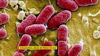 Oise : intoxiqué par un steak à deux ans, Nolan s'est éteint à dix ans