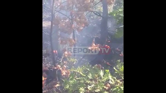 Dy vatra zjarri në Dibër, banorët kërkojnë ndërhyrje nga ajri pasi flakët rrezikojnë banesat