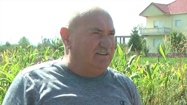 Korçë, dëmtohen 400 hektarë me patate - News, Lajme - Vizion Plus