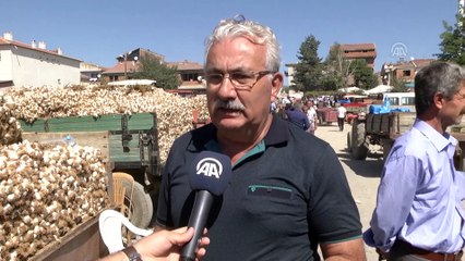 Taşköprülü üreticiler sarımsak fiyatlarından memnun- KASTAMONU