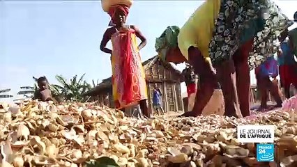 Madagascar : l'île verte a perdu 90% de sa forêt