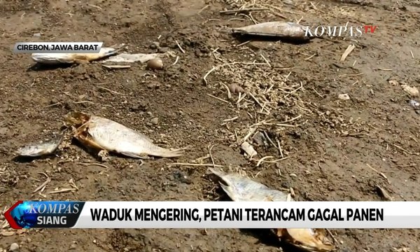 Waduk Mengering, Petani Terancam Gagal Panen
