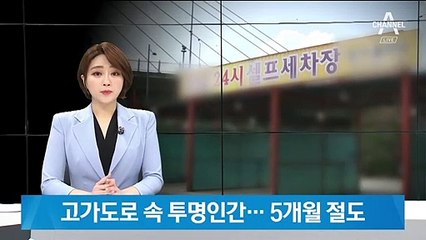 경찰 추적 피해가며…고가도로 속에서 먹고 자며 도둑질
