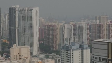 Indonesia investiga a decenas de empresas por incendios en Sumatra y Borneo