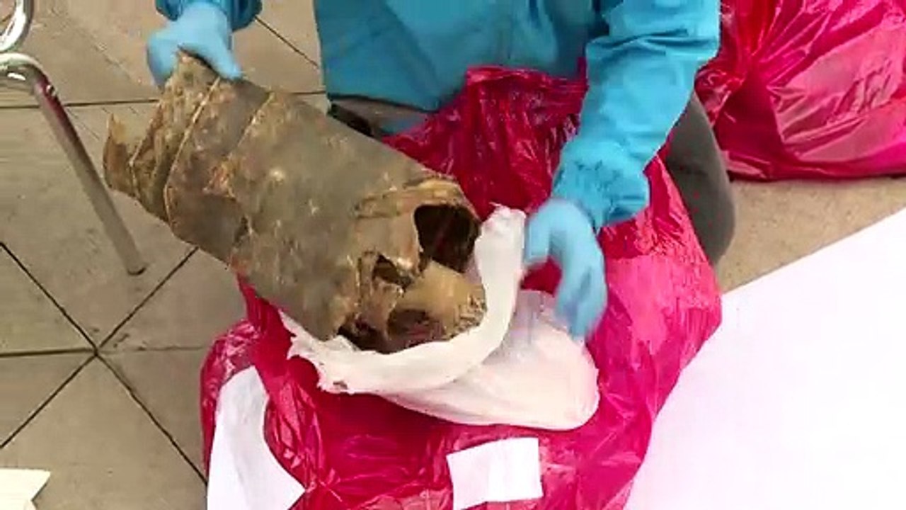 Exotische Tierteile für magische Rituale in Kolumbien beschlagnahmt