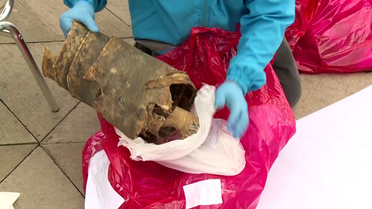 Exotische Tierteile für magische Rituale in Kolumbien beschlagnahmt