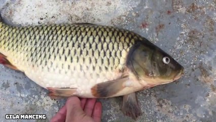 Nyetrum Ikan Langsung Dapat Banyak JOSS!