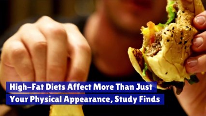 High-Fat Diets Affect More Than Just Your Physical Appearance, Study Finds