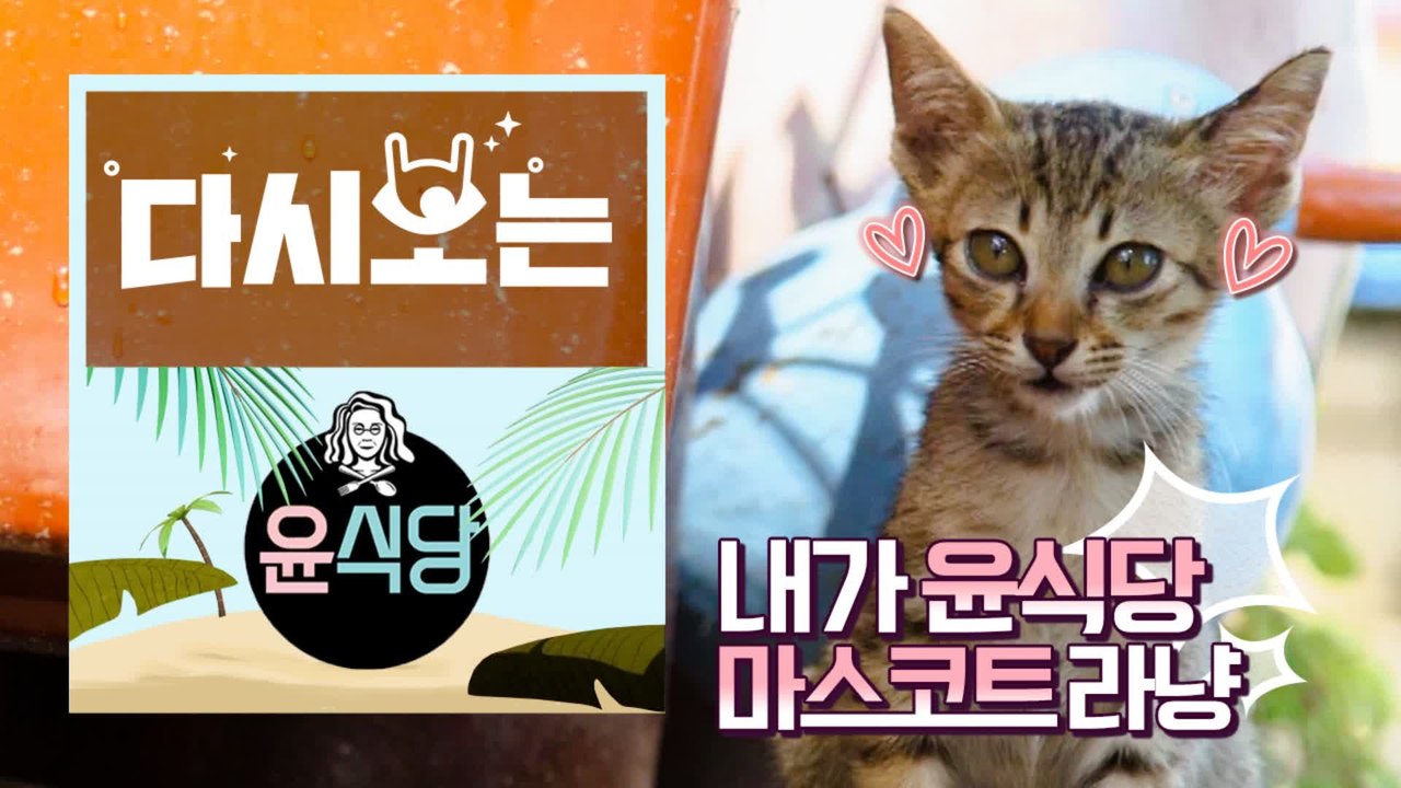 [#윤식당1] 쪼끄맣냥 위 아더 냥월드 전 지구인 집사 만드는 ☆뽀시래기★ 윤식당 마...