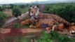 Morrem dezenas de tigres confiscados em templo da Tailândia