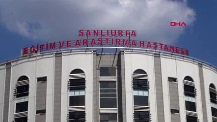 Şanlıurfa minik yıldız, böbrek nakli bekliyor