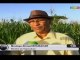 ORTM/Visite du Ministre de l’agriculture,  Moulaye BOUBACAR à Kita dans le cadre de la mission de supervision de la campagne agricole 2019 - 2010
