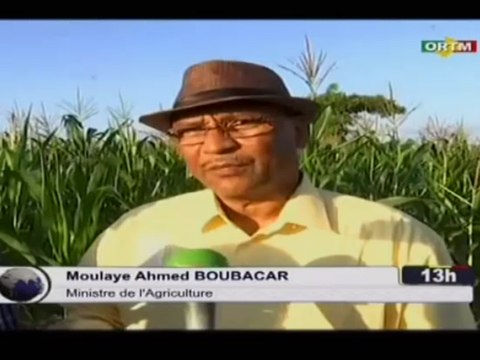 ORTM/Visite du Ministre de l’agriculture, Moulaye BOUBACAR à Kita dans le cadre de la mission de supervision de la campagne agricole 2019 - 2010