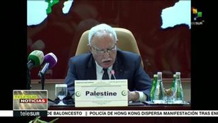 Download Video: Convoca a la unidad canciller palestino para frenar abusos israelíes