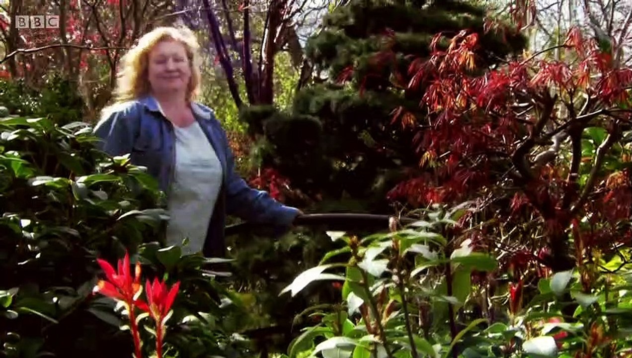 Garden Rescue episode 31 2019 Hucknall video Dailymotion