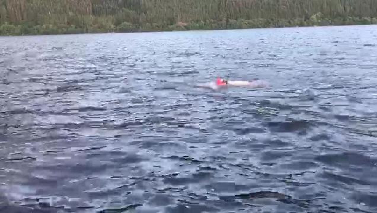 Loch Ness Swim