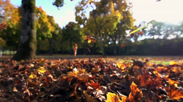 You Still Have Time to Reach Your 2019 Goals by the End of the Year