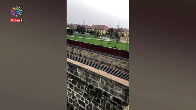 يا بلح زغلول بدء موسم حصاد التمور بالوادى الجديد