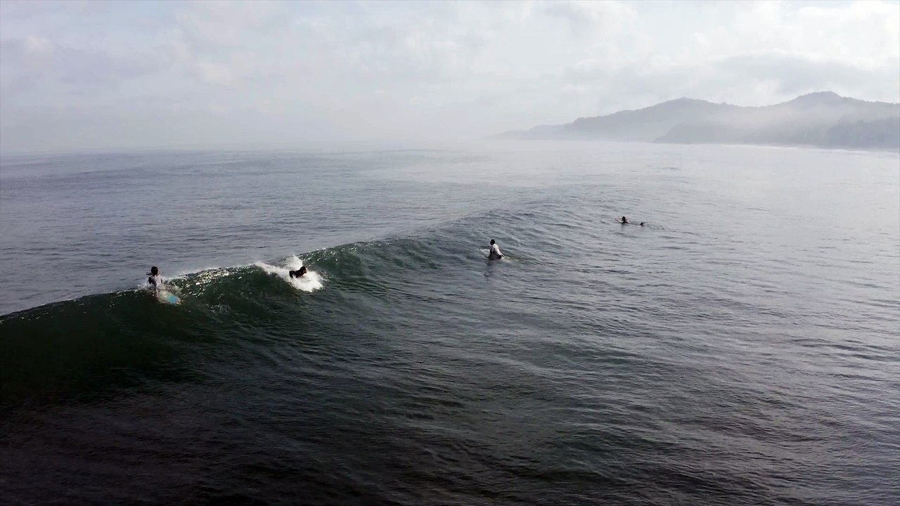 Surf