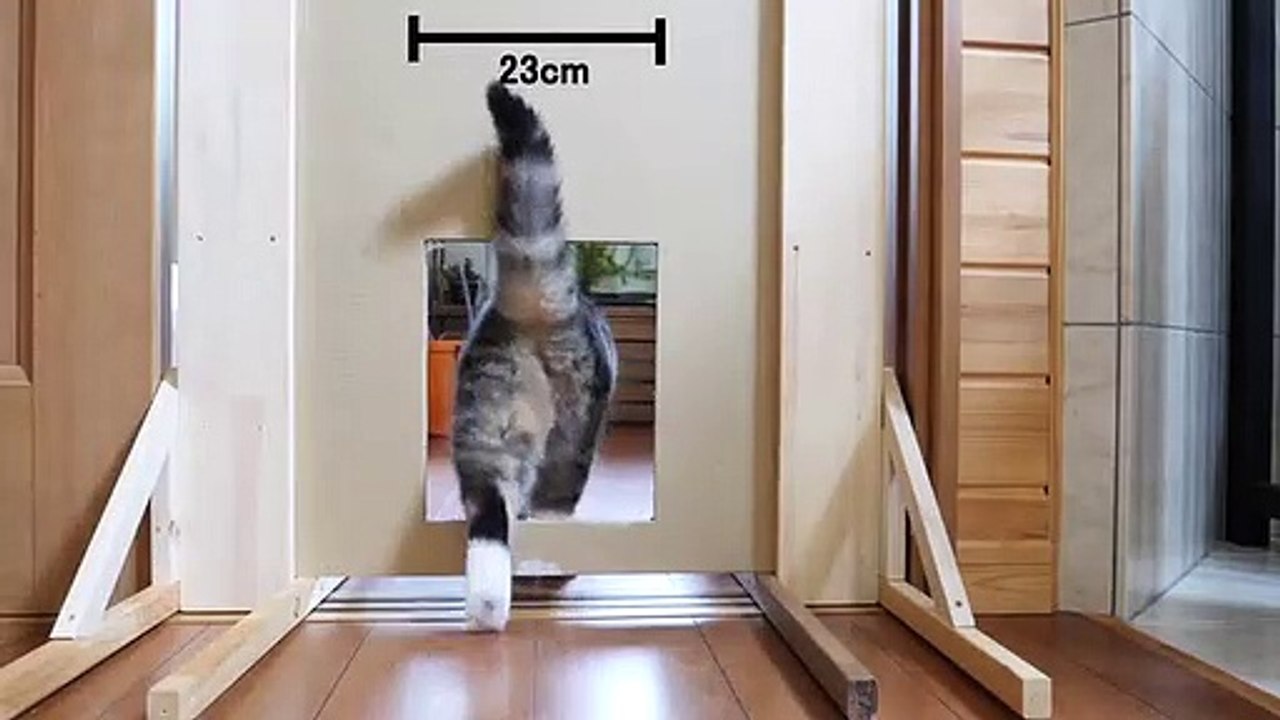Réduire la taille d'une chatière