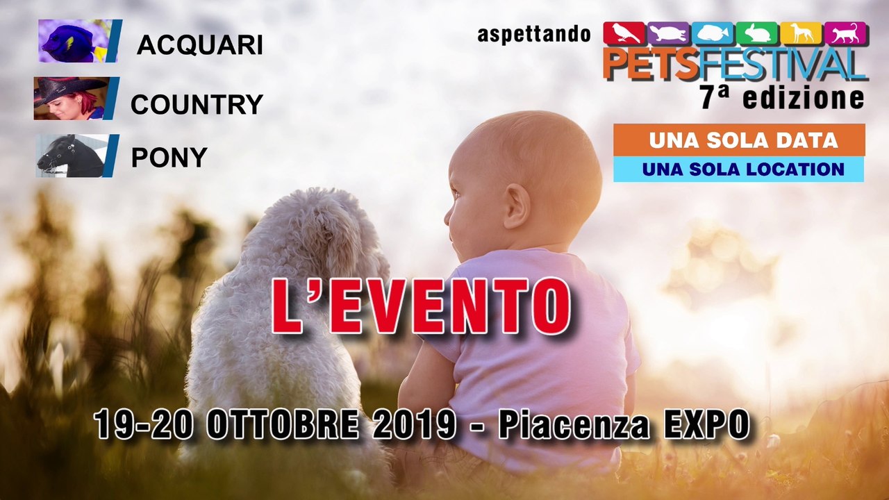 Aspettando PETSFESTIVAL 2019 - Puntata 4