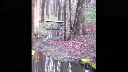 John Padovano - 2019 Coffeehouse april 7