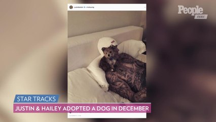 Hailey and Justin Bieber Add New Cat to Their Family After Celebrating 1 Year of Marriage