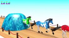 Belajar_warna_dengan_binatang_lucu_|_Belajar_Mengenal_Hewan_Hewan_Peternakan_Untuk_Anak-Anak_#2(360p)