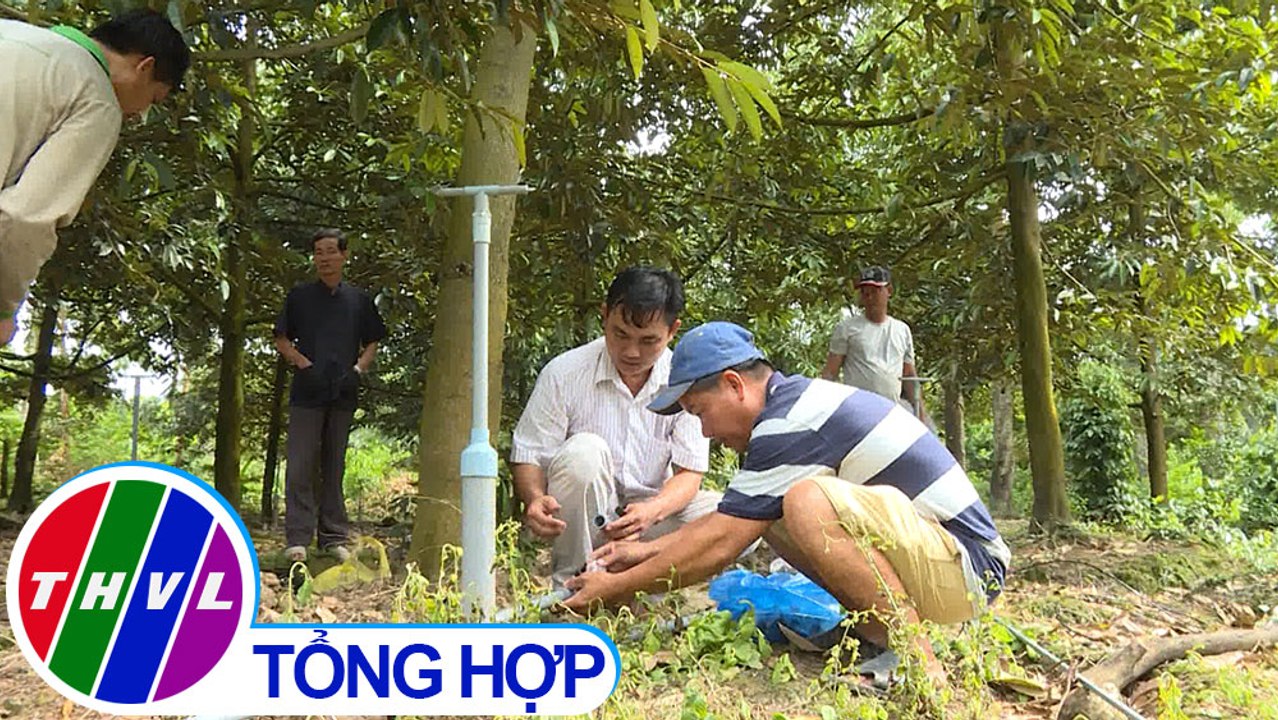 THVL | Nông nghiệp bền vững: Cải tiếc béc phun nâng cao hiệu quả canh tác vườn sầu riêng