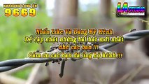 Karaoke Thao Thức Vì Em - sáng tác Lam Phương - Tone Nam - Long Ẩn 9669