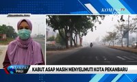 Kabut Asap Masih Menyelimuti, Presiden Jokowi: Riau Berstatus Siaga Asap