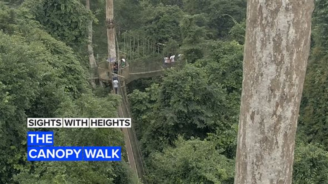 Sights with Heights: Ghana’s national park canopy walk