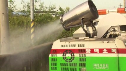 경기도, 확산 우려에 돼지 4천7백마리 살처분 / YTN