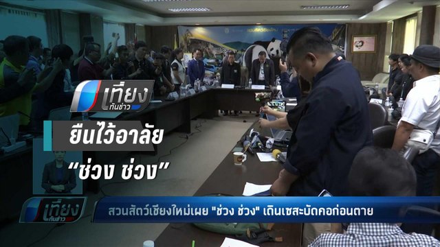 สวนสัตว์เชียงใหม่ เผยต้องรอสัตวแพทย์จีน ร่วมผ่าพิสูจน์แพนด้า “ช่วง ช่วง” - เที่ยงทันข่าว