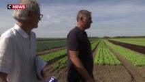 Sécheresse : les agriculteurs et les industriels appelés à respecter les restrictions d'eau