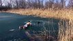 Il sauve un chien coincé dans un lac gelé !