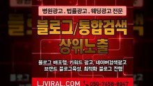 바이럴광고〖LJVIRAL.Com〗다음광고