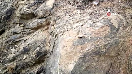 İznikli çiftçinin bulduğu kayalıktan milyon yıllık fosiller çıktı