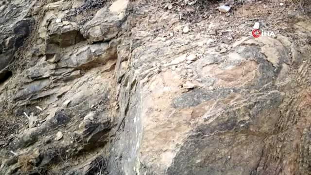 İznikli çiftçinin bulduğu kayalıktan milyon yıllık fosiller çıktı