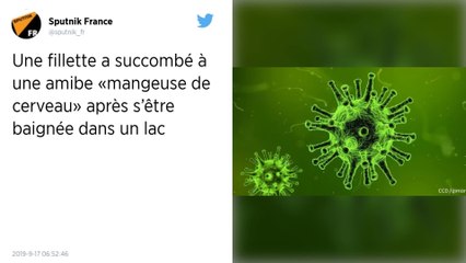 États-Unis : Une fillette de 10 ans succombe à une amibe « mangeuse de cerveau »