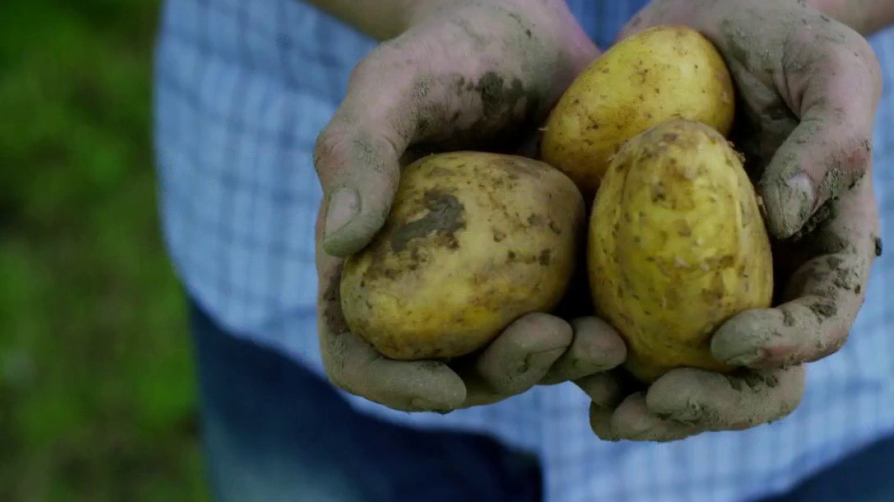 Actions solidaires - Les agriculteurs solidaires