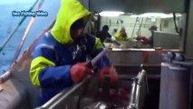 Everyone should watch this Fishermen's video - Amazing Automatic Net Fishing Line Catching Big Fish