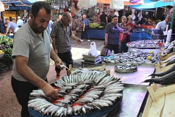 Tezgahta en ucuz balık sardalye