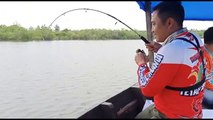 MANCING IKAN KERAPU  | GROPER FISH