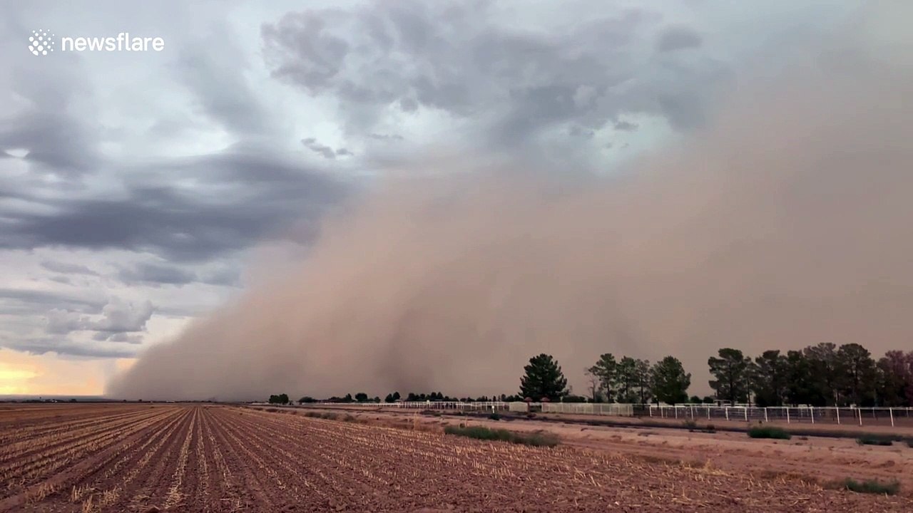 'Haboob' dust storm engulfs Arizona landscape