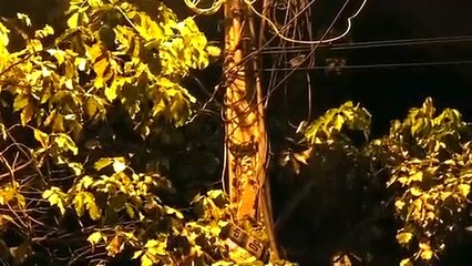 சென்னையில்! மின்கம்பம் சரிந்து விழுந்து ஒருவர் பலி..வீடியோ