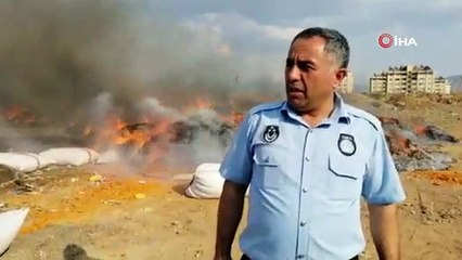 Gaziantep'te 25 ton bozulmuş domates ele geçirildi