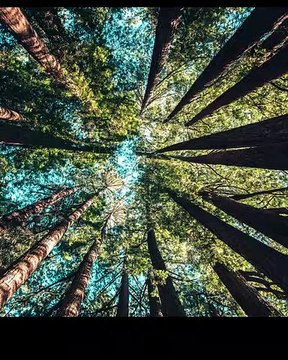 1800 Finder || Free Business Listing Website || Post free Ads