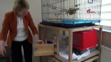 Makam odasında yaralı hayvanlara bakan müdüre inanılmaz ceza