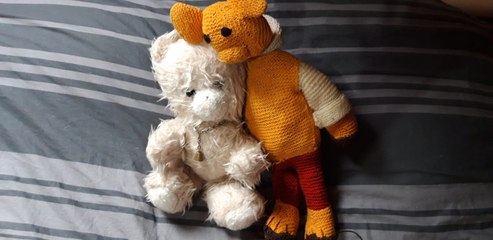 Les ours en peluche des auditeurs de France Bleu Normandie